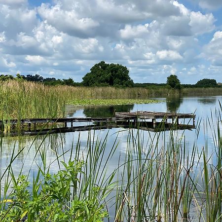 The Scandinavian Contemporary Blauw Lake Alfred المظهر الخارجي الصورة