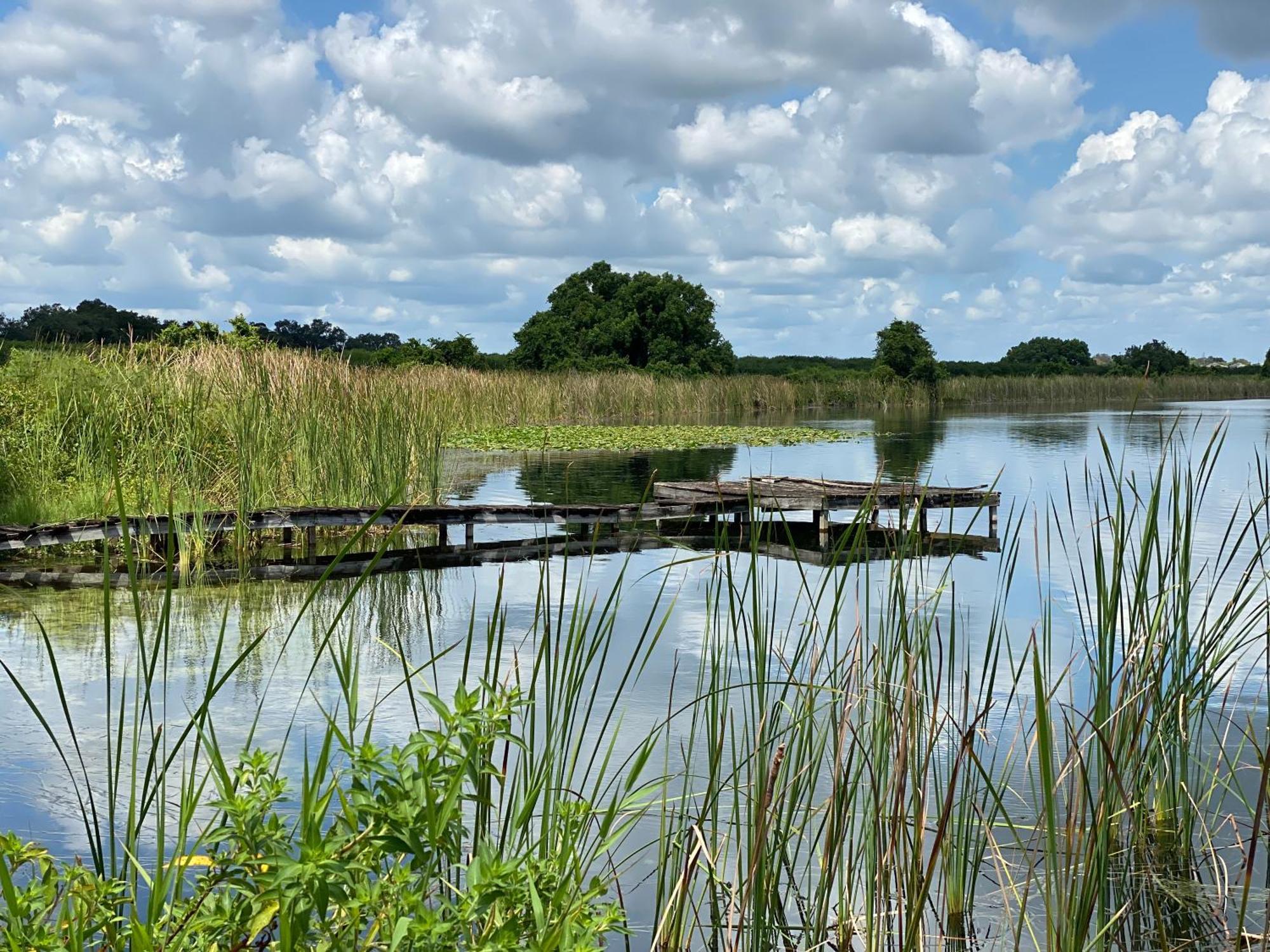The Scandinavian Contemporary Blauw Lake Alfred المظهر الخارجي الصورة